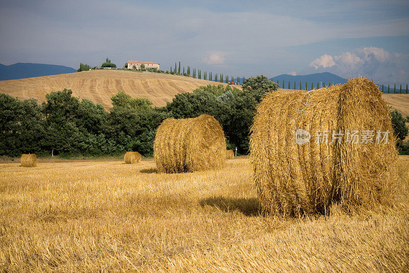 Tuscany ' s有